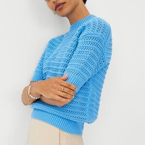 Ann Taylor NWT Open-Knit Stitchy Sweater Cerulean Blue Size Medium Petite